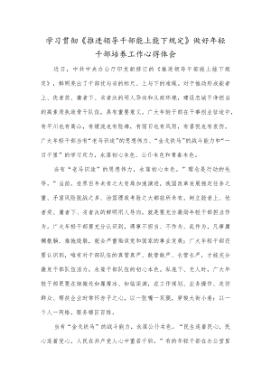 学习贯彻《推进领导干部能上能下规定》做好年轻干部培养工作心得体会.docx