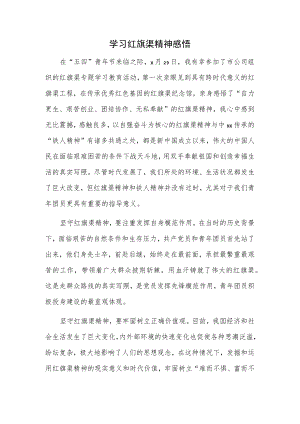 学习红旗渠精神感悟.docx