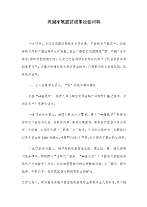 巩固拓展脱贫成果经验材料.docx