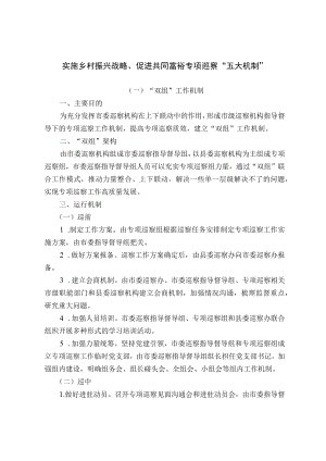 实施乡村振兴战略、促进共同富裕专项巡察“五大机制”.docx