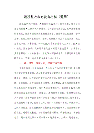 巡视整改表态发言材料通用.docx
