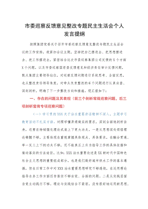 市委巡察反馈意见整改专题民主生活会个人发言提纲.docx