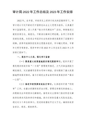 审计局2022年工作总结及2023年工作安排.docx