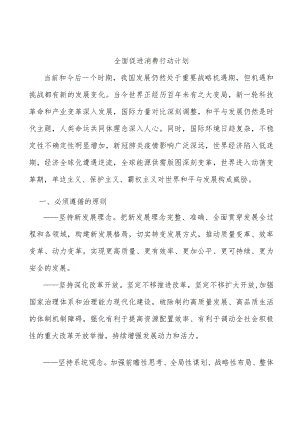 全面促进消费行动计划.docx