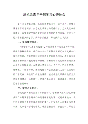 局机关青年干部学习心得体会.docx