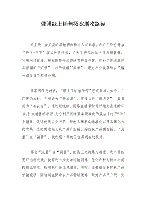 做强线上销售拓宽增收路径.docx