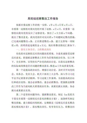 局党组巡察整改工作报告.docx