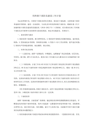 局科级干部队伍建设三年计划.docx