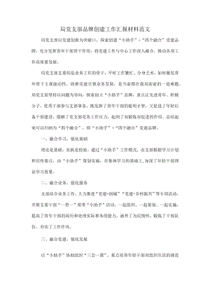 局党支部品牌创建工作汇报材料范文.docx