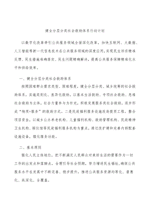 健全分层分类社会救助体系行动计划.docx