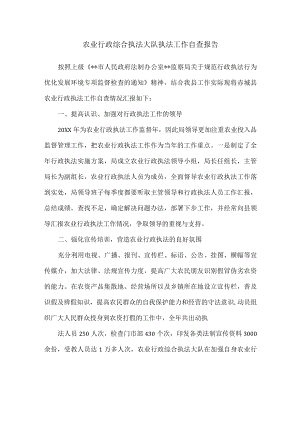 农业行政综合执法大队执法工作自查报告.docx