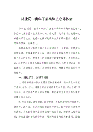 市监局青年干部素质提升培训班学习体会五篇模板.docx