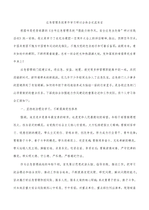应急管理系统青年学习研讨会体会交流发言.docx