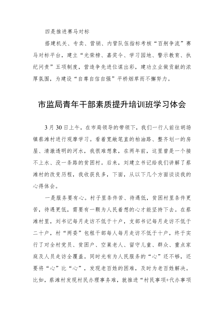 市监局青年干部素质提升培训班学习体会五篇样文.docx_第3页