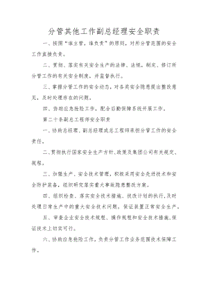 分管其他工作副总经理安全职责.docx