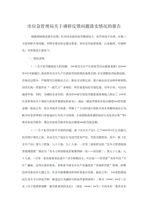 市应急管理局关于调研反馈问题落实情况的报告.docx