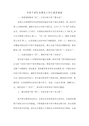 年轻干部队伍建设工作汇报供借鉴.docx