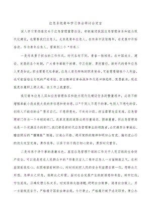应急系统青年学习体会研讨会发言.docx