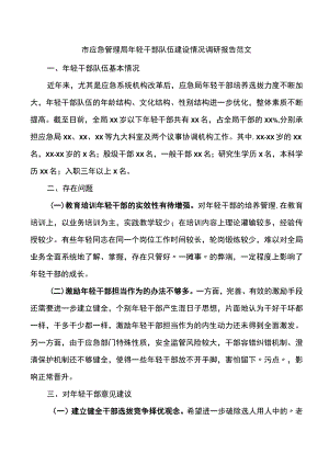 市应急管理局年轻干部队伍建设情况调研报告范文.docx