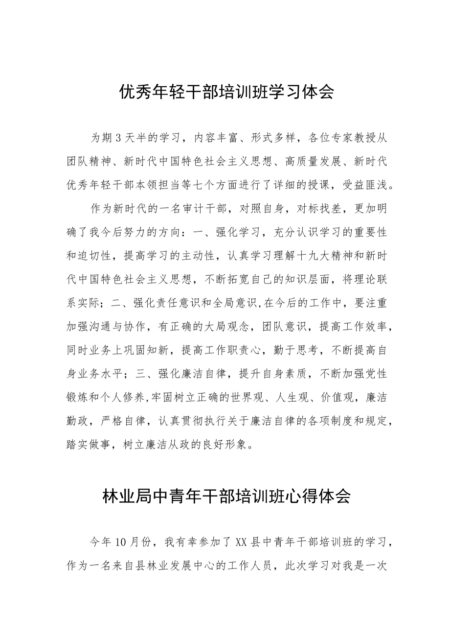 市监局青年干部素质提升培训班学习体会五篇合集.docx_第1页