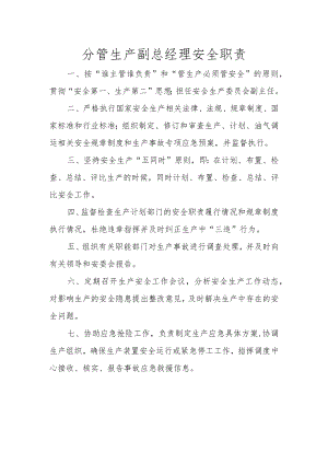 分管生产副总经理安全职责.docx