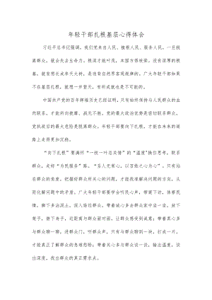 年轻干部扎根基层心得体会.docx