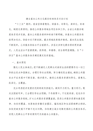 健全基本公共文化服务标准体系行动计划.docx