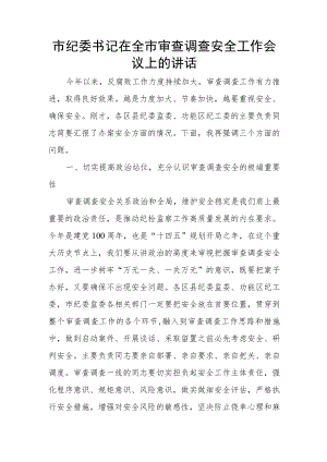 市纪委书记在全市审查调查安全工作会议上的讲话.docx