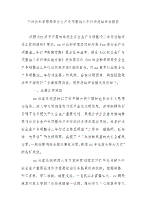 市林业和草原局安全生产专项整治三年行动总结评估报告.docx