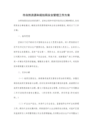 市自然资源和规划局安全管理工作方案.docx