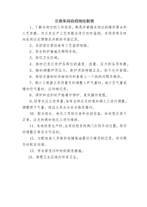兰炭车间自控岗位职责.docx