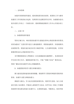 共青团工作计划.docx