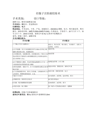 子宫肌瘤挖出术.docx