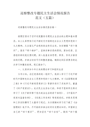 巡察整改专题民主生活会情况报告范文（五篇）.docx
