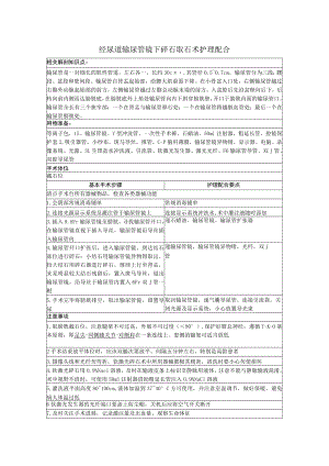 经尿道输尿管镜下碎石取石术.docx