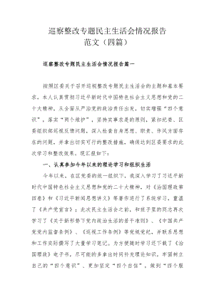 巡察整改专题民主生活会情况报告范文（四篇）.docx