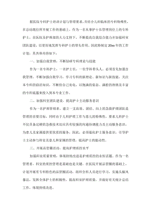 护士工作计划.docx