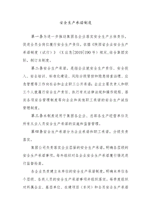 安全生产承诺制.docx