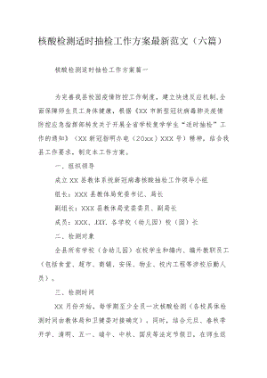 核酸检测适时抽检工作方案最新范文（六篇）.docx