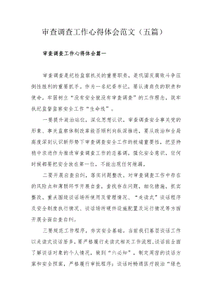 审查调查工作心得体会范文（五篇）.docx