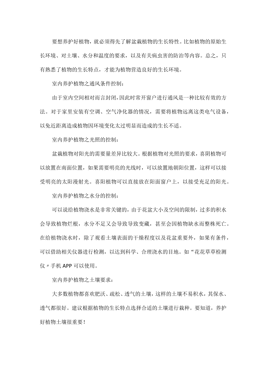 如何种植室内植物.docx_第3页