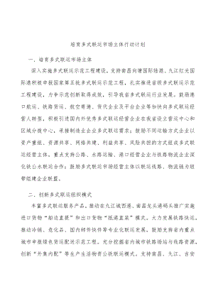培育多式联运市场主体行动计划.docx