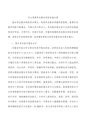 加大普惠养老服务供给实施方案.docx