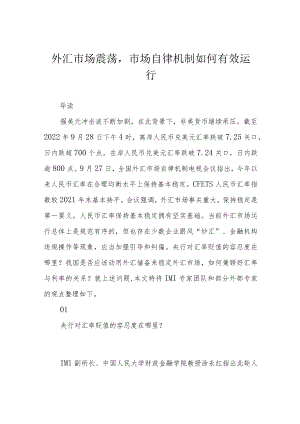 外汇市场震荡市场自律机制如何有效运行.docx