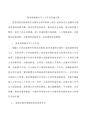 培养造就高水平人才队伍实施方案.docx