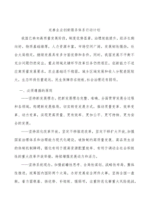 完善企业创新服务体系行动计划.docx