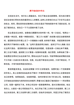 勇于尝试初中作文.docx