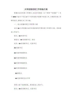 大学迎接巡视工作准备方案.docx