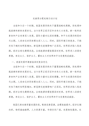 完善再分配机制行动计划.docx