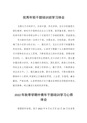 优秀年轻干部培训班学习体会九篇合集.docx